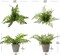 2PCS Fake Plants Potted Artificial Plants Greenery Faux Fern Eucalyptus Décor Plant for Indoor Home Office Bathroom Harmhouse Decoration